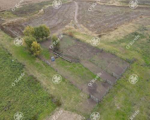 Campo en Venta de 324 Has en General Alvear. Mixto