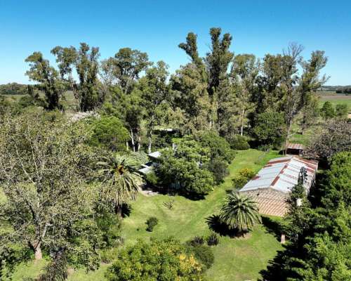 24 Has. Chacra en Zárate Apta Desarrollo Inmobiliario