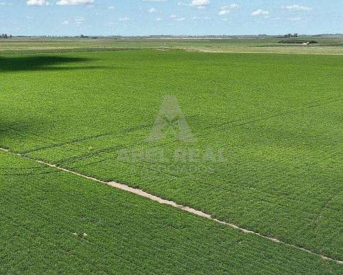 130 Ha San Gregorio, Santa FE