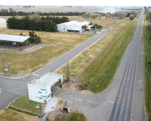 Nave Industrial en Alquiler 2.500 M2 Cubiertos en Arequito