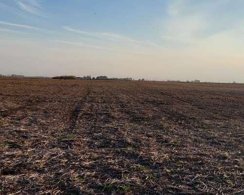 60 Ha Alem, Prov. de Buenos Aires