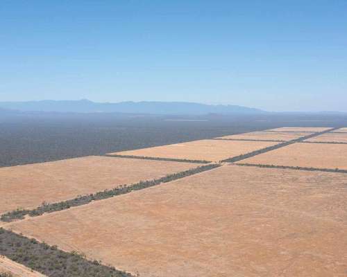 Pcia. de Salta - la Estrella 2125 Has