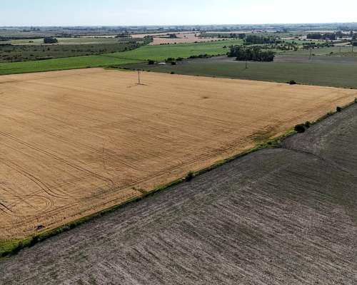 Campo Agrícola Apto Granja