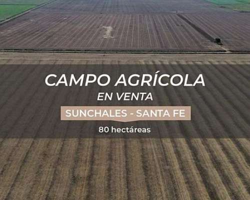 Campo Agricola 82 Ha - Sunchales