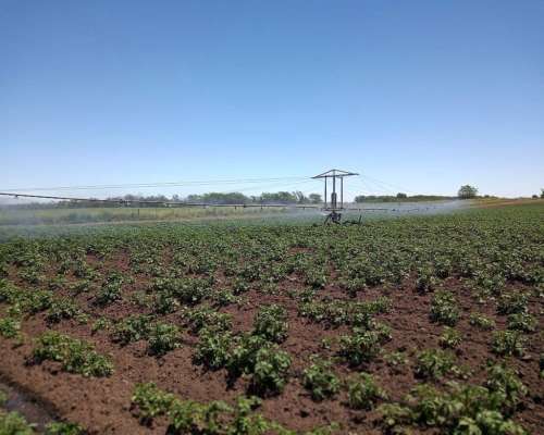 2 Motores de Riego con Cabezal y ALA