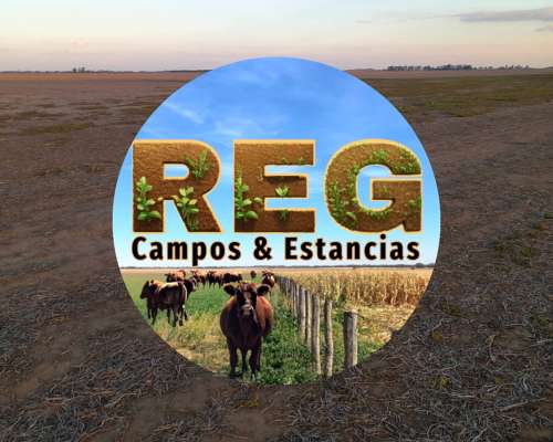 360 Has - Gral. Villegas