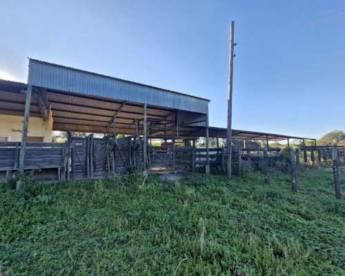 Alto Alegre, Patiño, Formosa - 46.106 Ha