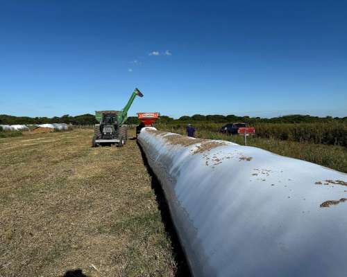 Dispongo de Campo para Capitalizar Hacienda en Ceres,sta FE