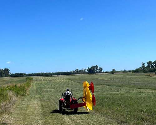 Segadora de Tambor 1.85 Ancho de Corte