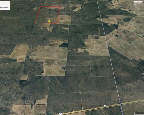 Campo de Monte en Caleu Caleu