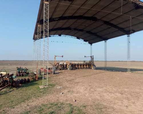 Venta Campo a Tranquera Cerrada (con 900 Vientres Bradford)