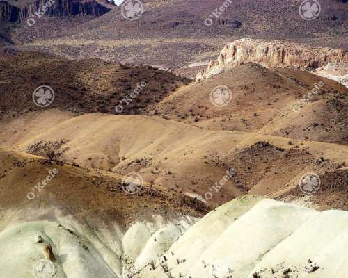 Campo en Venta 9000 Has en Esquel, Chubut. Ganadero.