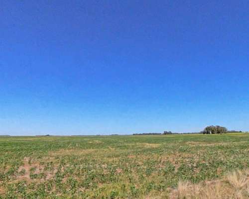 Campo en Venta – 816 Hectáreas