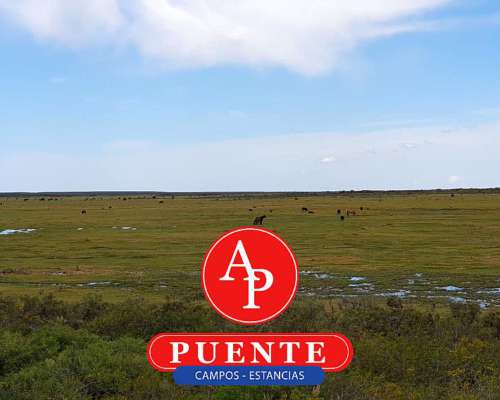 En Venta 12.500 HA. Puelén, la Pampa.