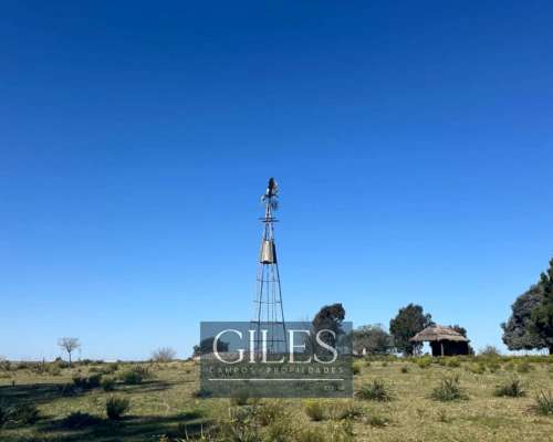 Campo Mixto 80 Hectáreas C/mejoras