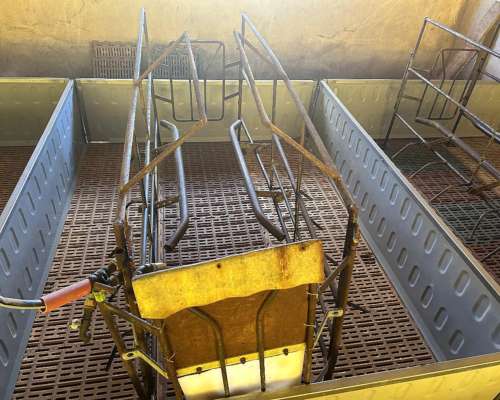 Vendo 12 Parideras Completas