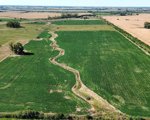 Vendo Campo 24 Has en Ruta 14 Concepción del Uruguay Entre R