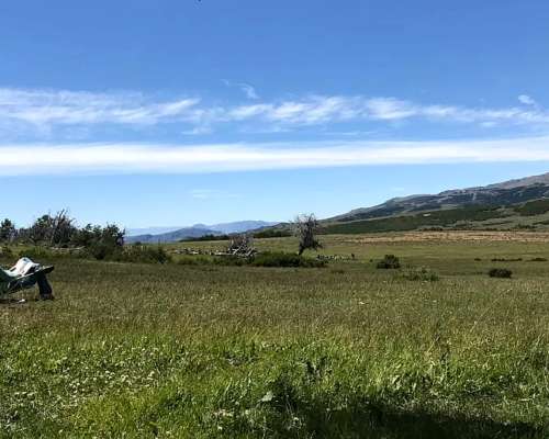 Campo Cholila Chubut 1600 Ha