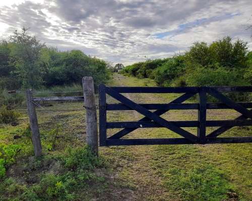 377 Ha en Venta en Huanqueros