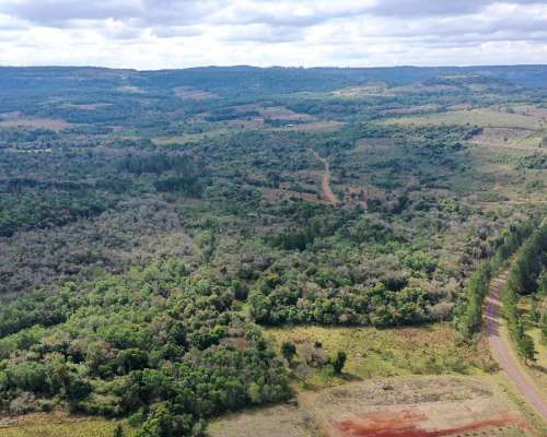 Se Vende Chacra de 82 Ha San Javier Misiones