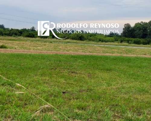 Lote de 1.14 Hectárea – Dpto. Colón (er)