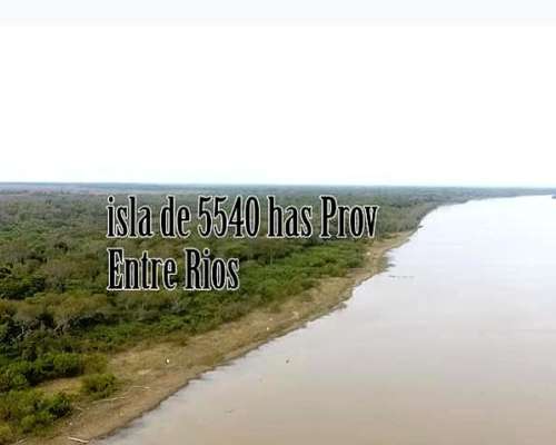 Vendo 5540 Has Isla en Entre Ríos