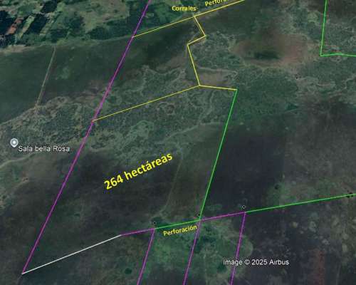 Campo Ganadero en Alquiler