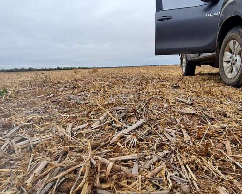Vendo 3000 Ha Agricolas las Lajitas