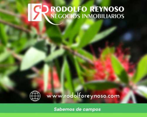 4.5 HA. en Dto. Colón