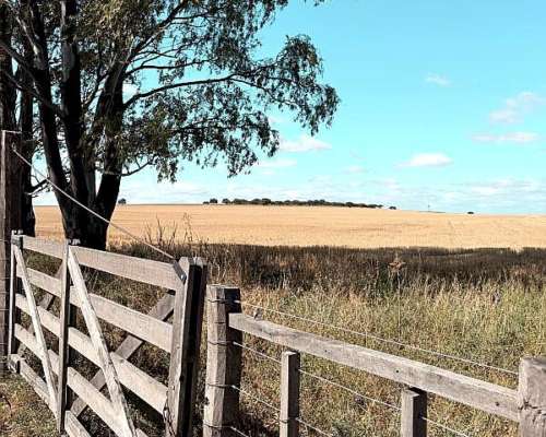 212 Ha Algarrobo Sobre Ruta 22