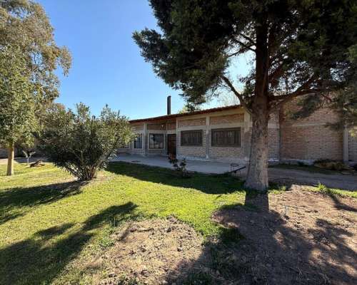 Veta de Galpón con Amplio Terreno- Zona Industrial Mendoza