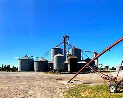 Venta Planta de Silos en Coronel Dorrego