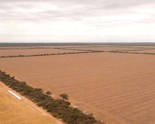 Pcia. de Salta - el Quebrachal 645 Has