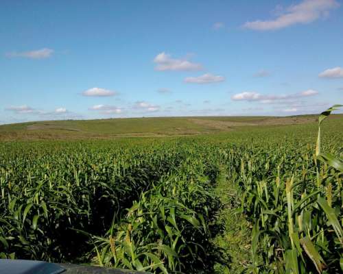 Campo Mixto en la Provincia de Catamarca