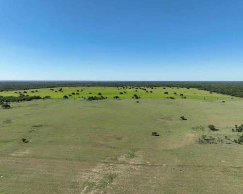 Pcia. de San Luis - Arizona 2307 Has