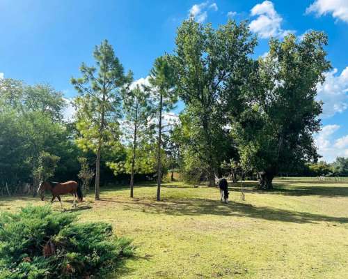 Mercedes, Buenos Aires - 14,5 Ha