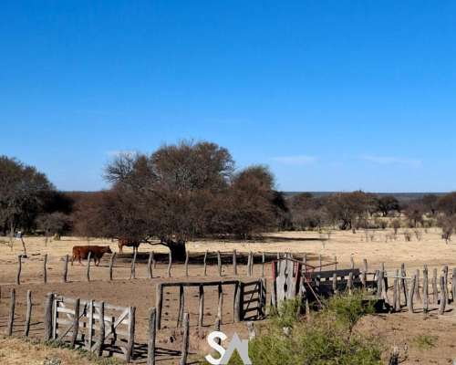 Alquila: Campo Ganadero 6000 Hectáreas en Arizona, San Luis