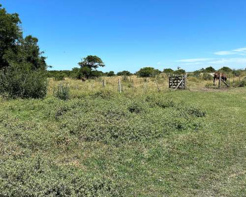 Arrendamiento Establecimiento Corrientes Zona Norte