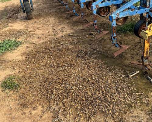 Carpidor Escardillo Agroindustrial 12/70