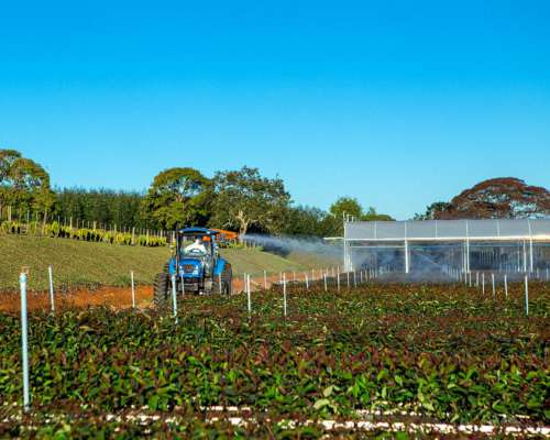 Cañon Pulverizador Jacto AJ 600 3p - Tambo, Feed Lot, Mosca