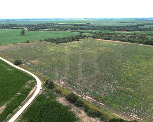 32 Has Agrícolas Lozada, Cordoba