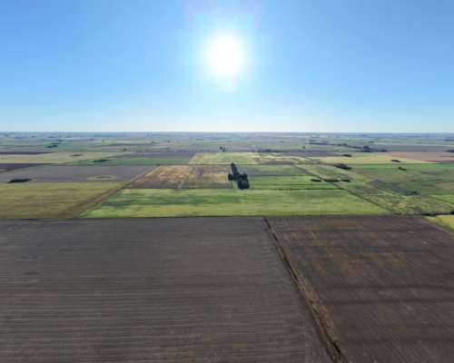 67ha Pergamino Buenos Aires