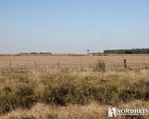 General Belgrano, Buenos Aires - 95 Ha