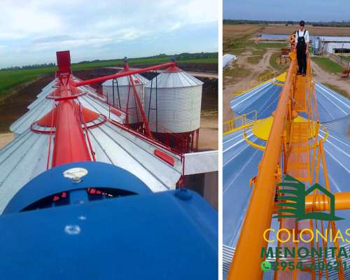 Planta Automática de Silos con Sinfines-colonias Menonitas
