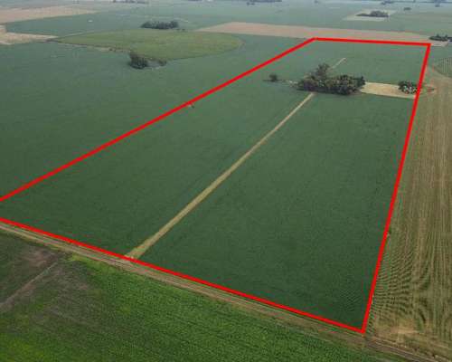 Campo en Venta Salto Bs.as.