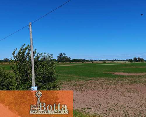 24has en Venta en Carlos Keen, 100% Agrícolas