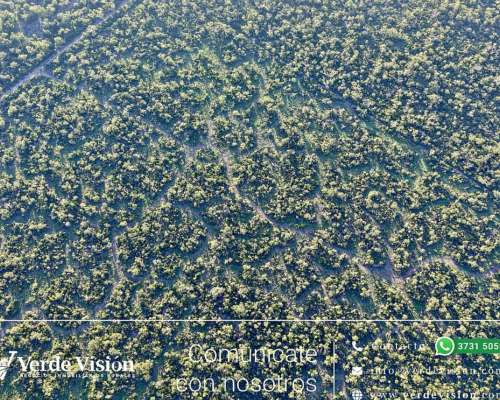 150 Has en Venta - Pcia del Chaco, las Breñas