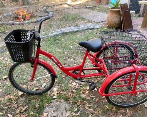 Triciclo Paseo Reparto con Canasto GDE
