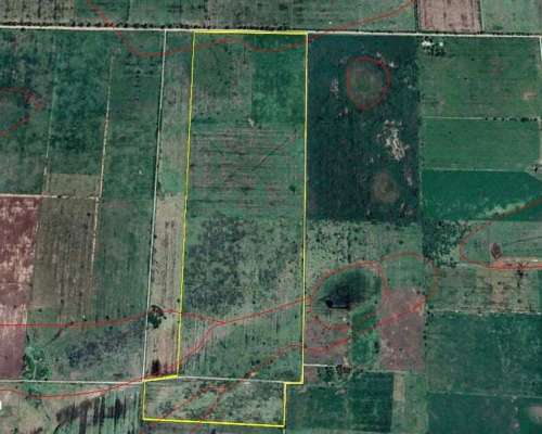 62ha Mixto - Felicia, Santa FE