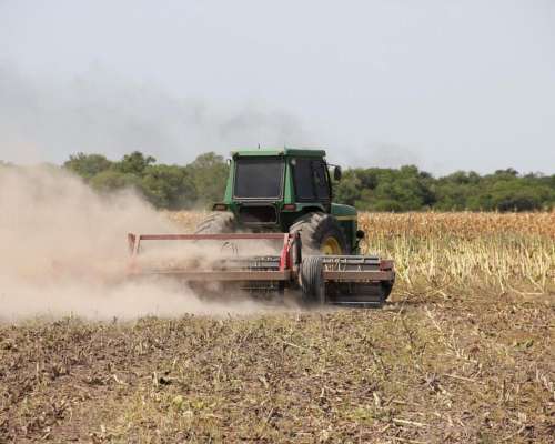 Rolos Trituradores de Rastrojos Dolbi Línea RG